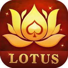 go rummy bet download